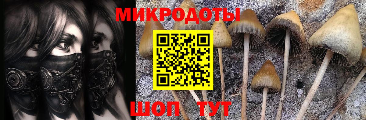 Анжеро-Судженск  Галлюциногенные грибы MAGIC MUSHROOMS  наркота  Вход с VPN 