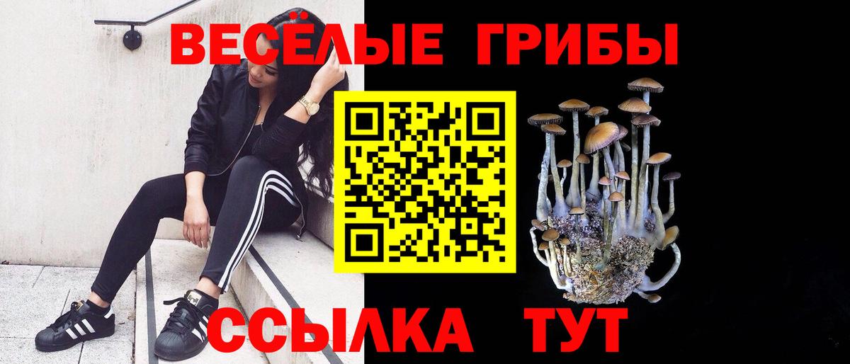 Галлюциногенные грибы ЛСД Анжеро-Судженск